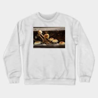 slb shrooms Crewneck Sweatshirt